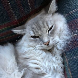 Meet your Posher, Laynie